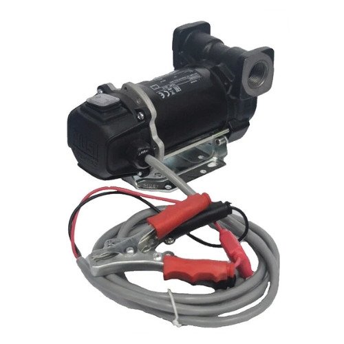 carry 3000 portable 2 volt pump 45 l/min